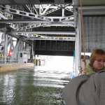 SAM_0547