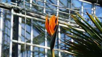 2018-03-30_Spaziergang-Ostern_030