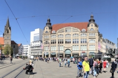 IMG_6990