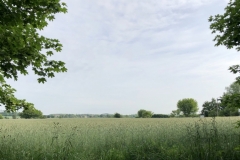 2019-05-24_Parkbank_0060