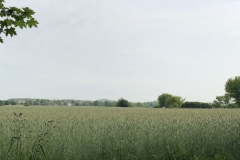 2019-05-24_Parkbank_0070