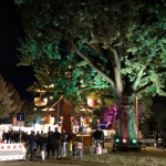 2019-09-13_Herbst_340