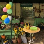 2019-09-15_Herbst_035