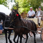 2019-09-15_Herbst_425
