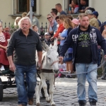 2019-09-15_Herbst_440