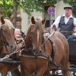 2019-09-15_Herbst_520