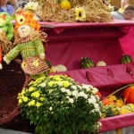 2019-09-15_Herbst_625