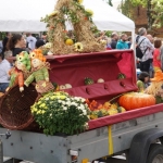 2019-09-15_Herbst_628