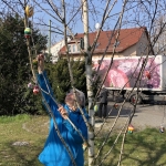 2020-03-27_Osterbaum_060