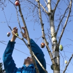 2020-03-27_Osterbaum_070