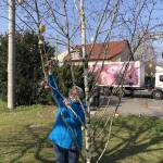 2020-03-27_Osterbaum_20