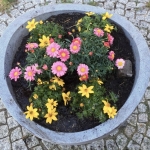 2020-04-28_Pflanzschale_10