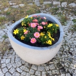 2020-04-28_Pflanzschale_20