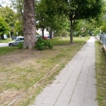 2020-05-30_Angerpflege_02