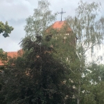 2020-07-16_Bodendenkmal_010