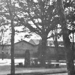 BV-Rosenthal-R071-9596-1-Hauptstr.-Schoenhauser-Str.-Bismarckstein