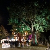 RH2019_FR-040